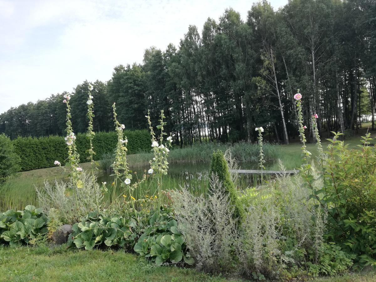Lakeshore House Dvarcenai  Екстериор снимка